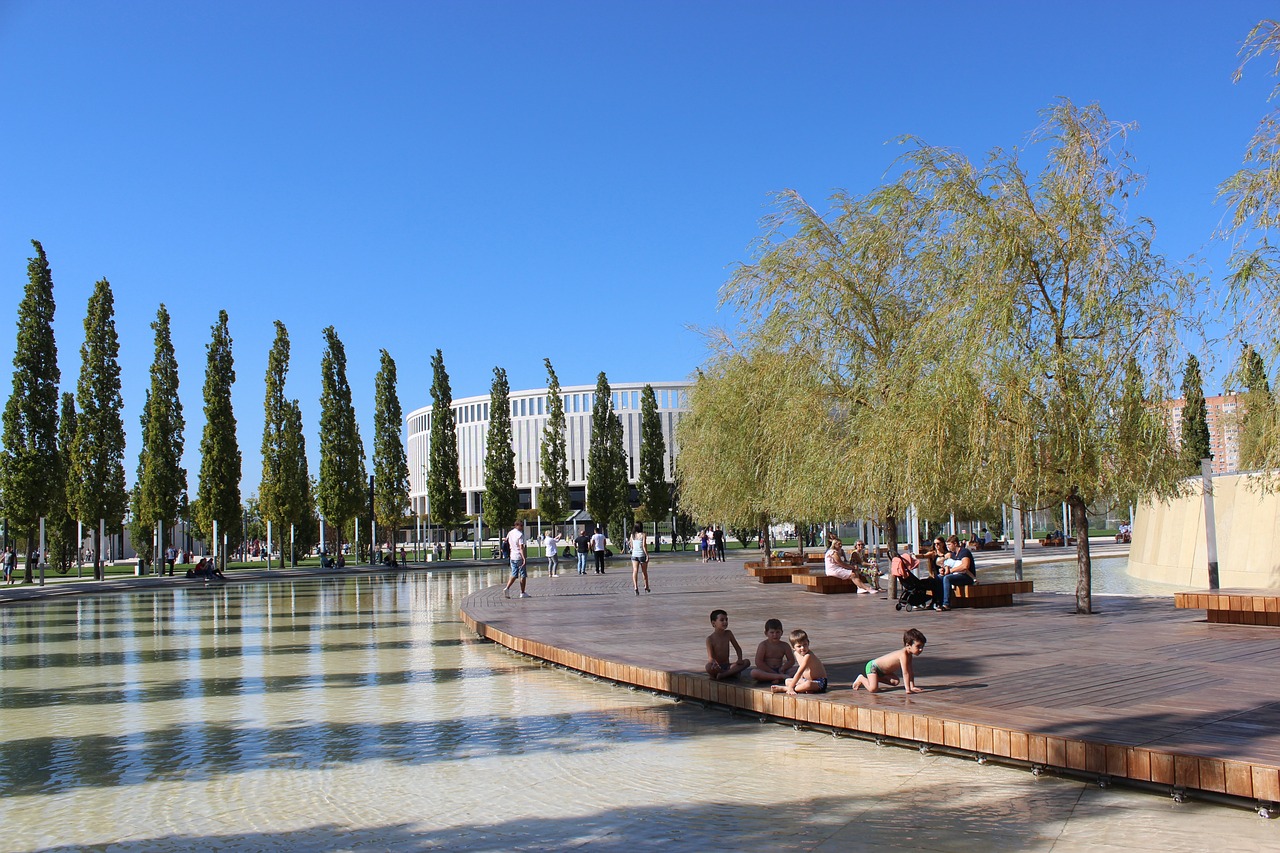 这不仅展示 这不仅展示