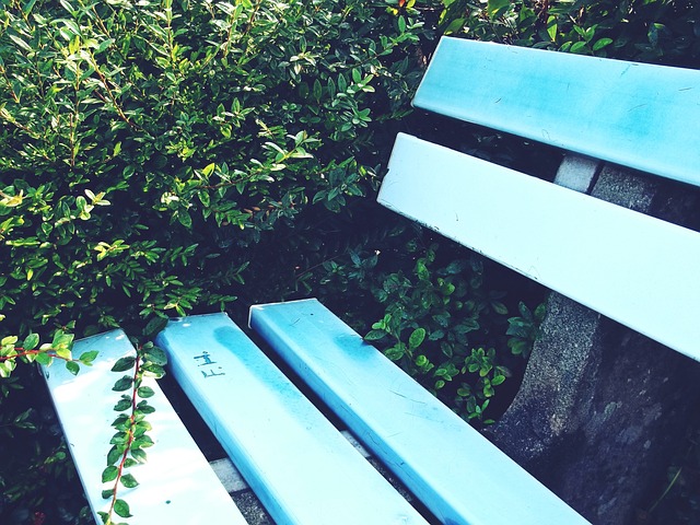 力逆转了不 力逆转了不