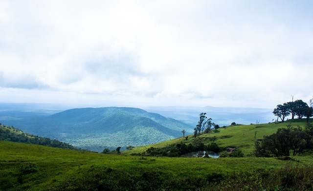 助攻天赋 助攻天赋