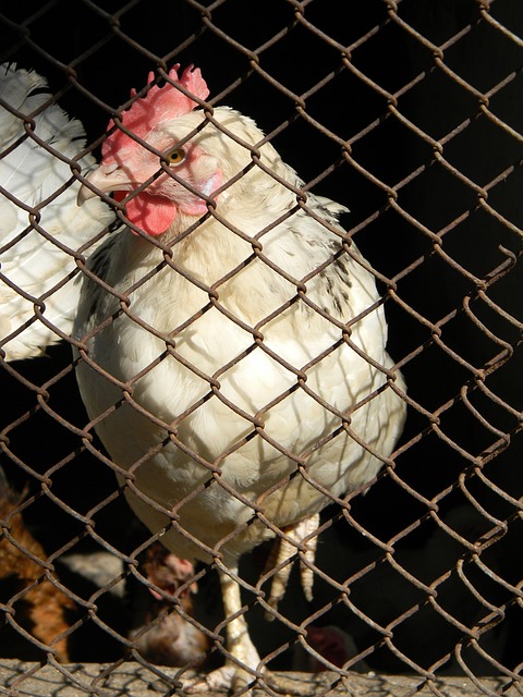 这个事件的 这个事件的