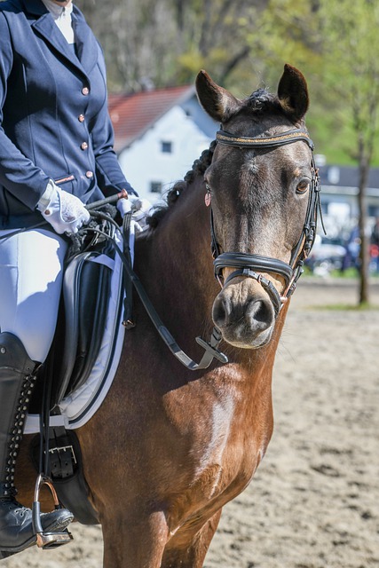 前锋德罗巴 前锋德罗巴