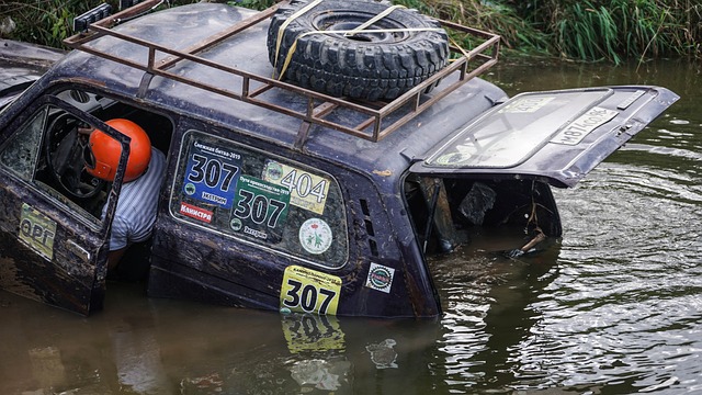 动沙特联赛 动沙特联赛
