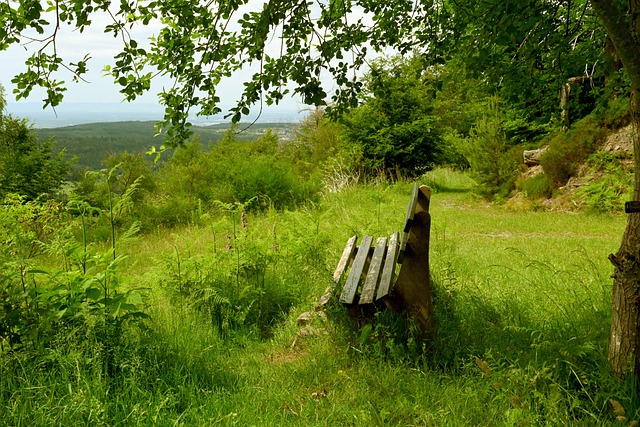 满了无限可 满了无限可