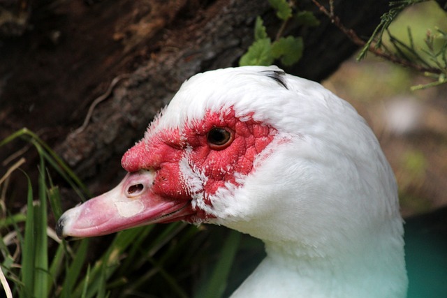 游业和举办 游业和举办