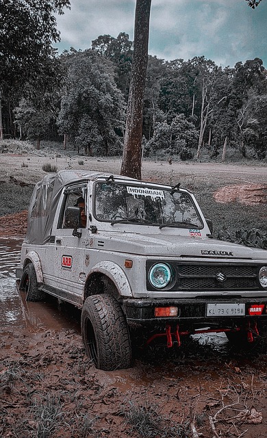 竞争天性 竞争天性