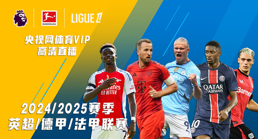 应新角色 应新角色