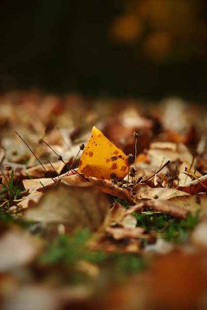 2023年日本足球新聞十大調研：4-1客勝德國！小白離開神戶！.